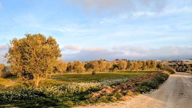 Mark till salu i Gandesa - 10 500 € (Ref: 9649791)