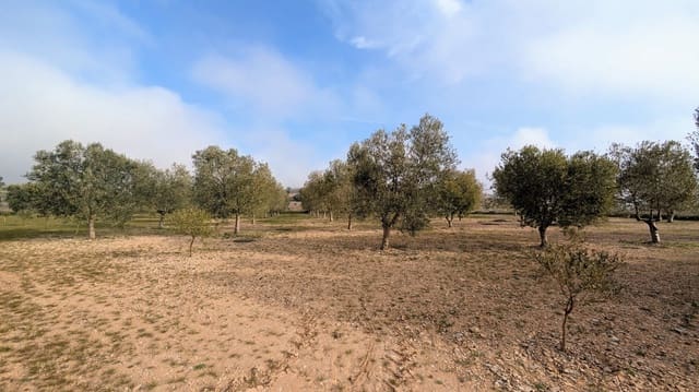 Mark till salu i Gandesa - 10 500 € (Ref: 9649791)