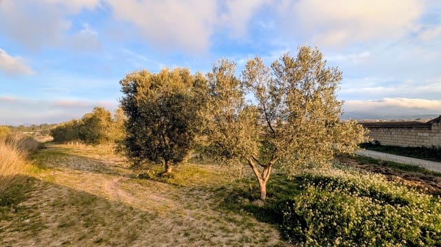 Mark till salu i Gandesa - 10 500 € (Ref: 9649791)