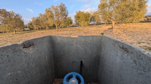 Mark till salu i Gandesa - 10 500 € (Ref: 9649791)