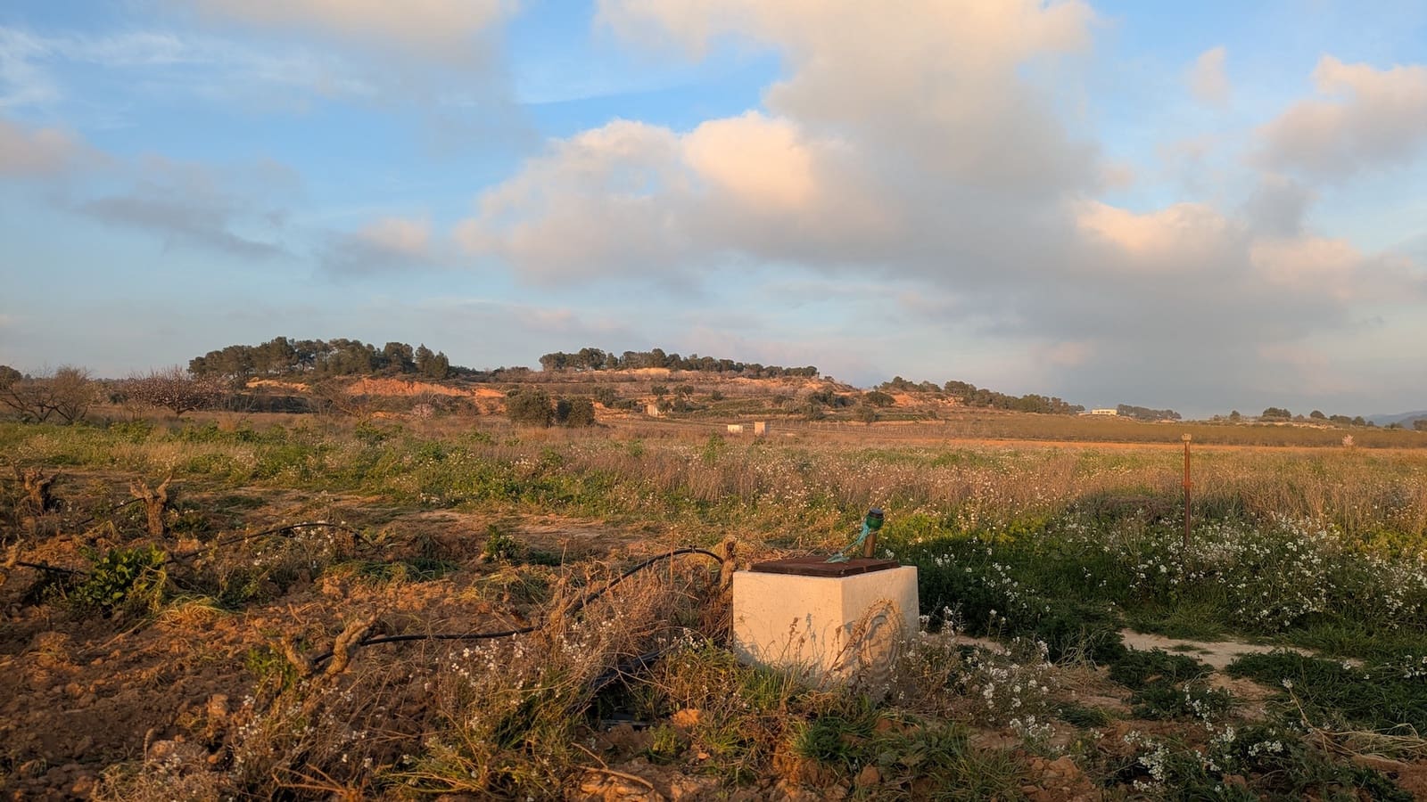 Finca/Casa di Campagna in vendita in Gandesa - 32.500 € (Rif: 9649806)