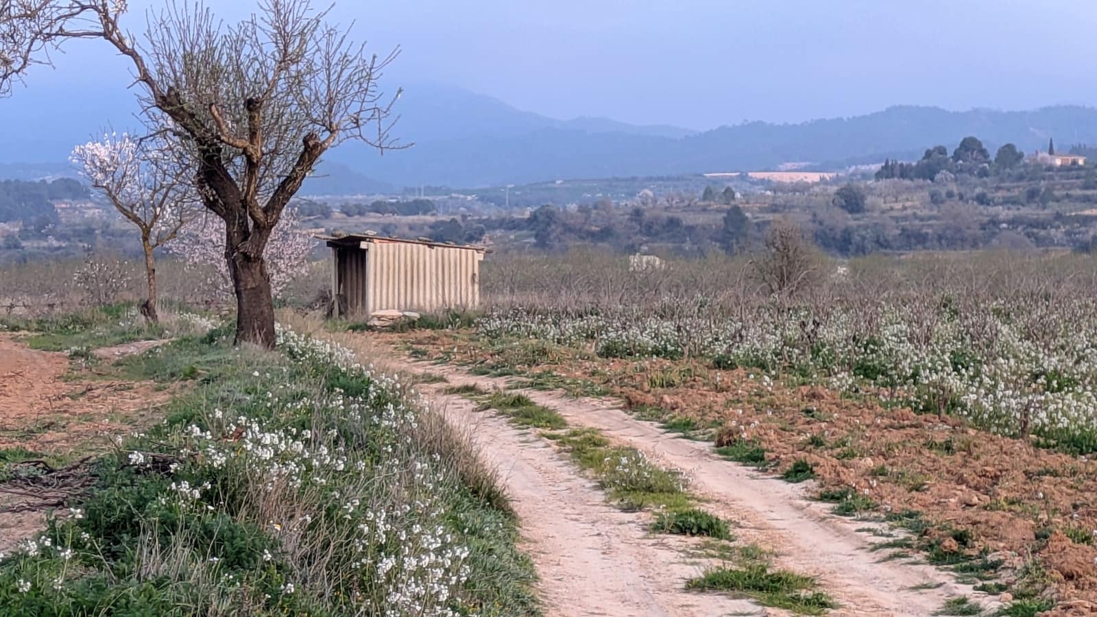 Finca/Casa di Campagna in vendita in Gandesa - 32.500 € (Rif: 9649806)