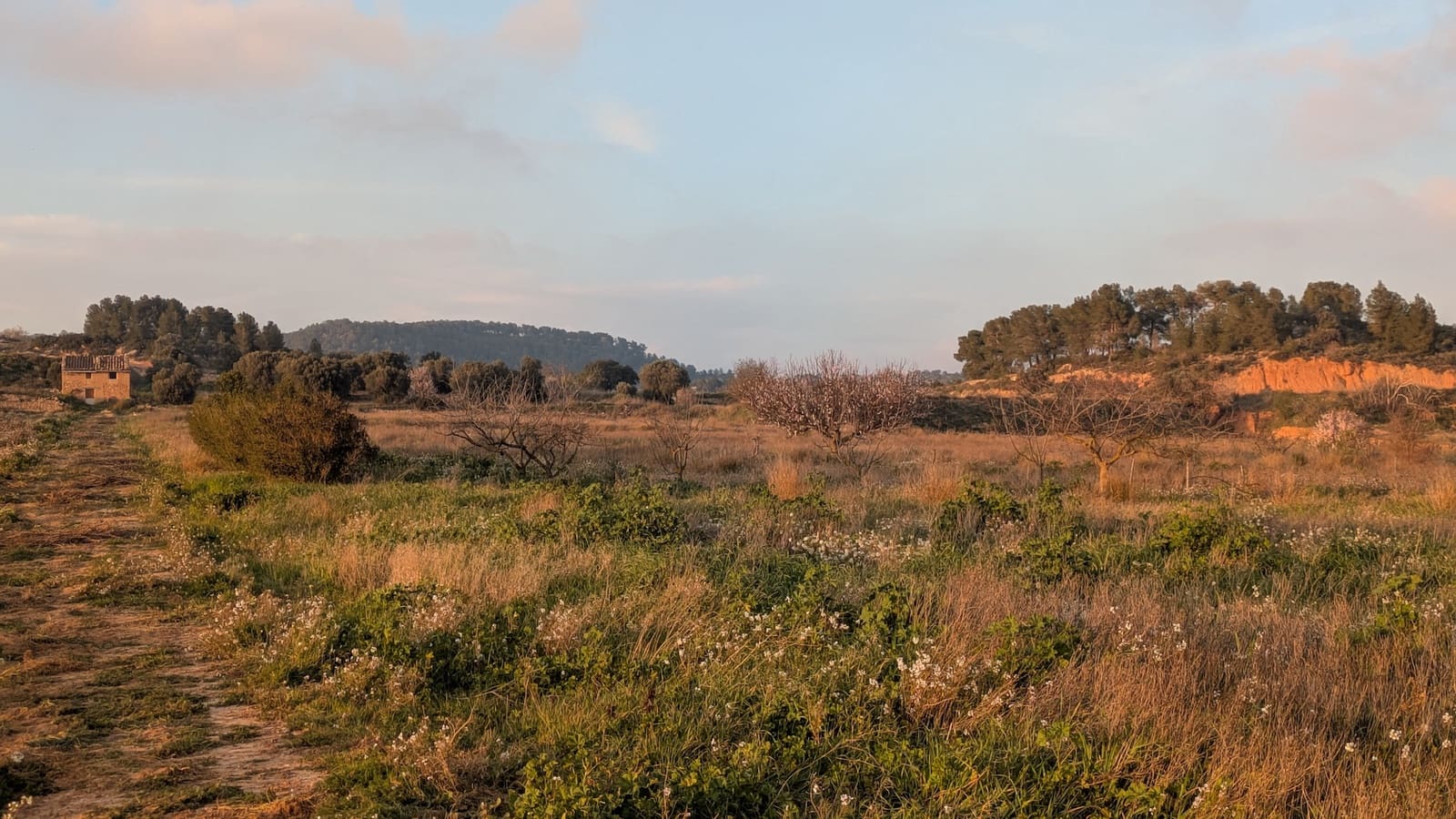 Finca/Casa di Campagna in vendita in Gandesa - 32.500 € (Rif: 9649806)