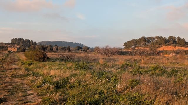 Finca/Maison de Campagne à vendre à Gandesa - 30 000 € (Ref: 9649806)