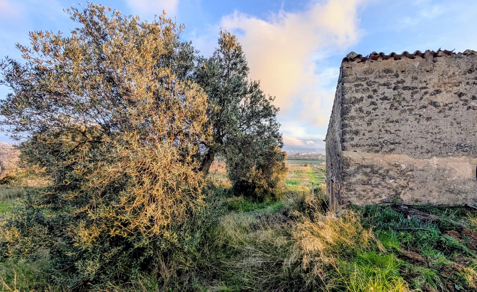 Finca/Casa di Campagna in vendita in Gandesa - 32.500 € (Rif: 9649806)