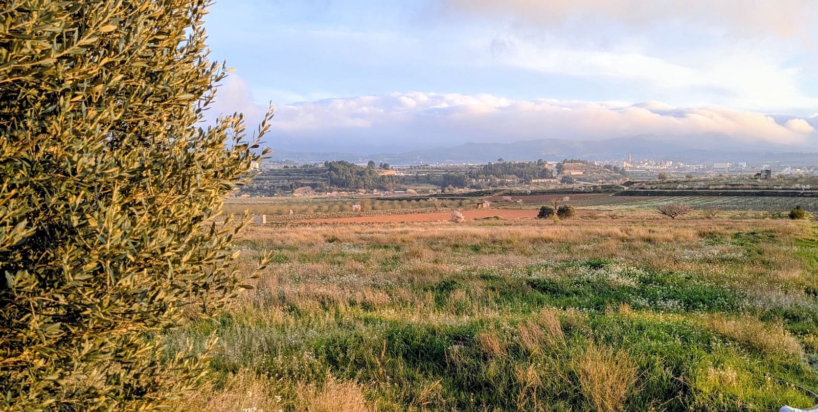 Finca/Casa di Campagna in vendita in Gandesa - 32.500 € (Rif: 9649806)