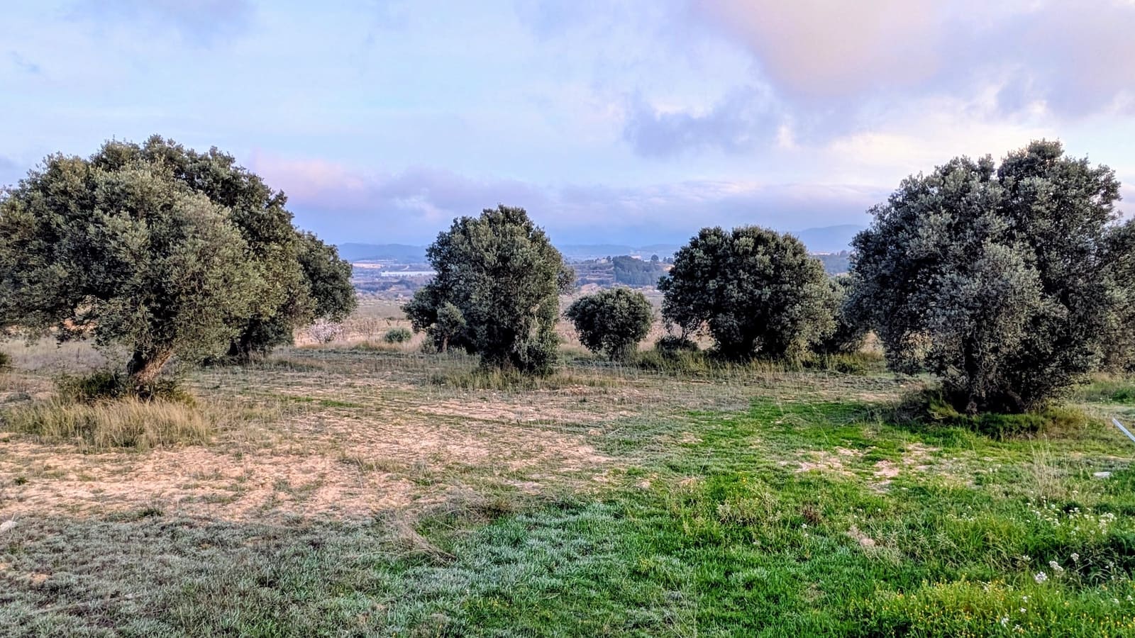 Finca/Casa di Campagna in vendita in Gandesa - 32.500 € (Rif: 9649806)