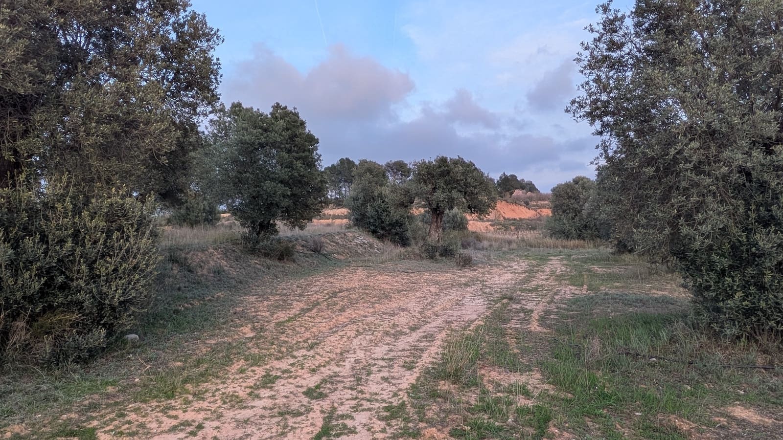 Finca/Casa di Campagna in vendita in Gandesa - 32.500 € (Rif: 9649806)