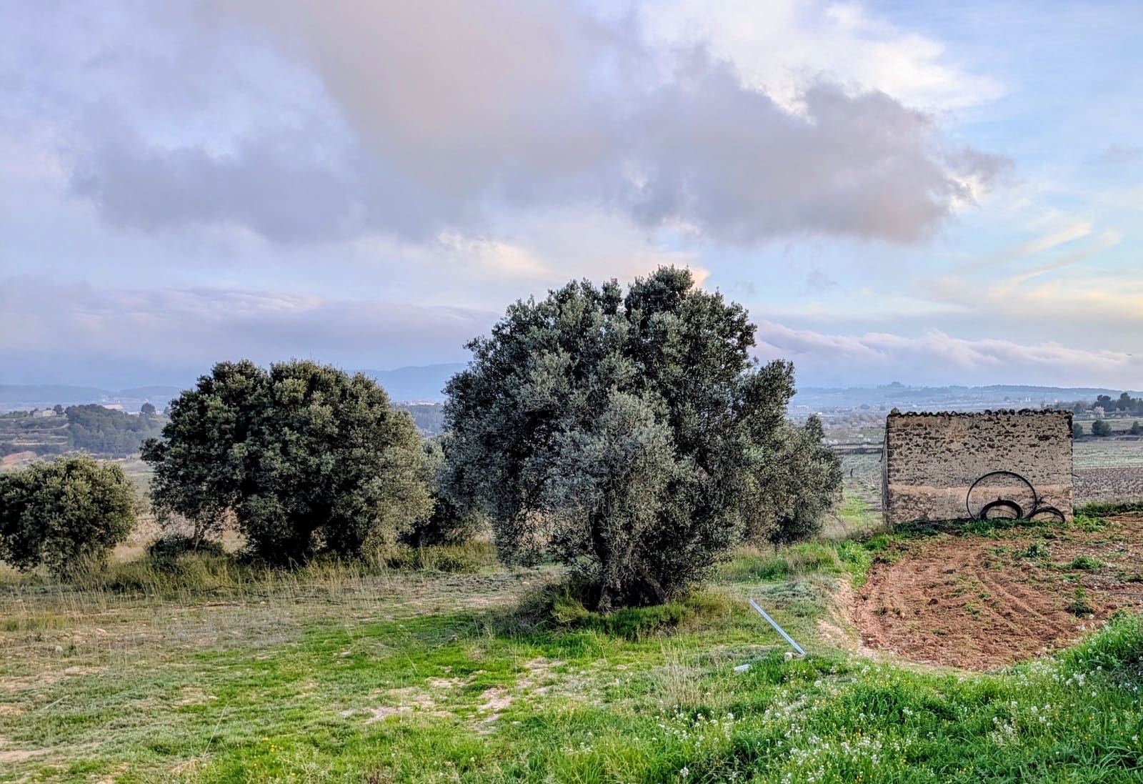 Finca/Casa di Campagna in vendita in Gandesa - 32.500 € (Rif: 9649806)