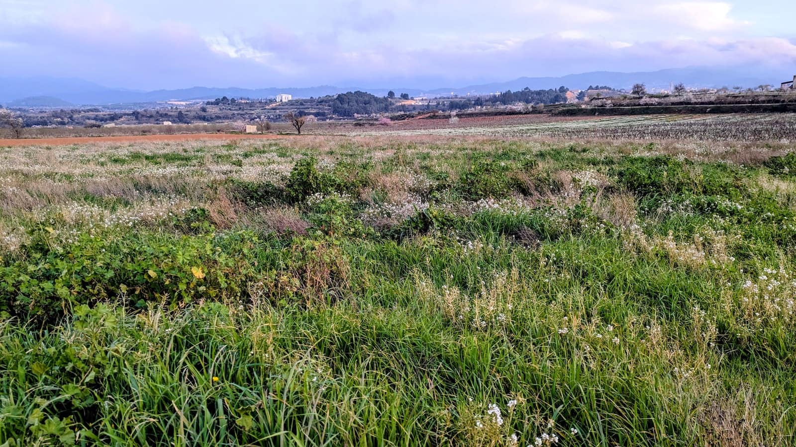 Finca/Casa di Campagna in vendita in Gandesa - 32.500 € (Rif: 9649806)