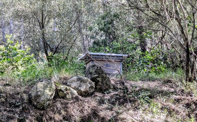 Finca/Landgut zu verkaufen in Gandesa - 25.000 € (Ref: 9726426)