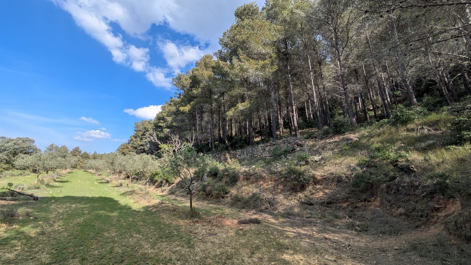 Finca/Landgut zu verkaufen in Gandesa - 25.000 € (Ref: 9726426)