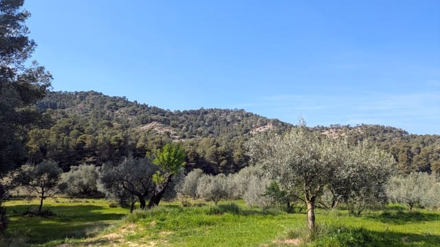 Finca/Landgut zu verkaufen in Gandesa - 25.000 € (Ref: 9726426)