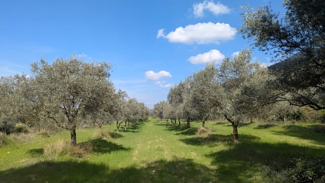 Finca/Landgut zu verkaufen in Gandesa - 25.000 € (Ref: 9726426)