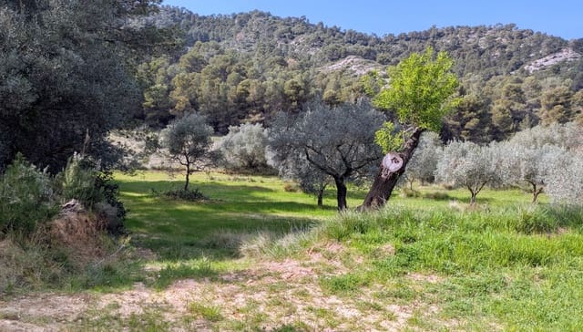Finca/Landgut zu verkaufen in Gandesa - 25.000 € (Ref: 9726426)