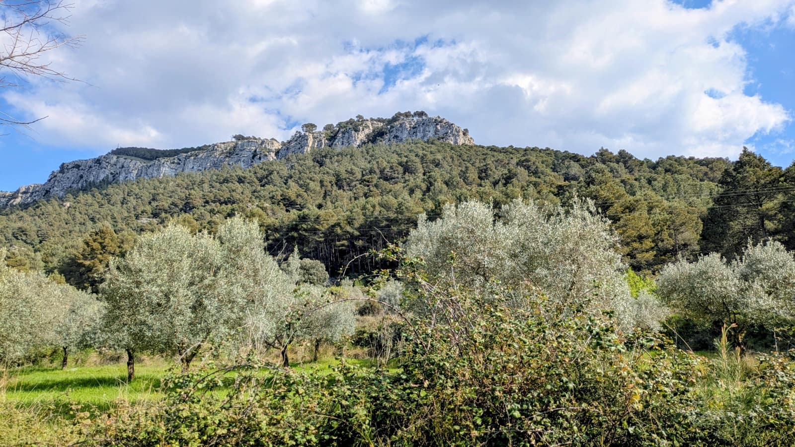 Finca/Landgut zu verkaufen in Gandesa - 25.000 € (Ref: 9726426)