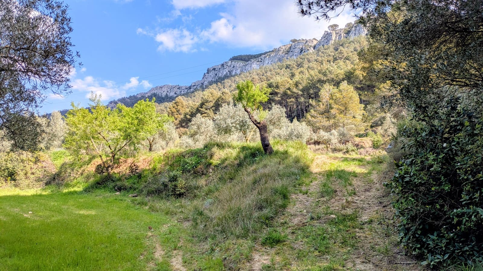 Finca/Landgut zu verkaufen in Gandesa - 25.000 € (Ref: 9726426)