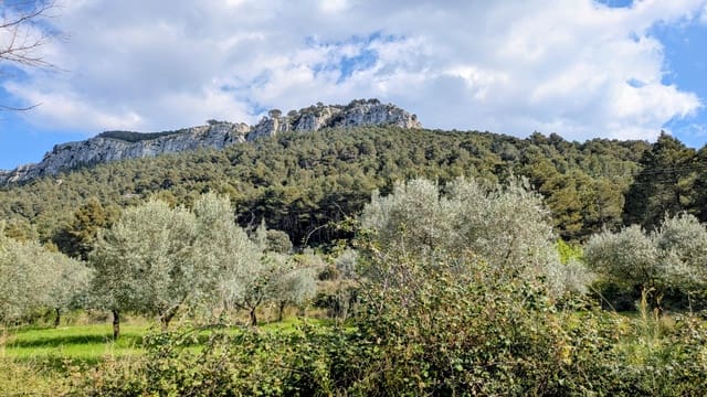 Finca/Landgut zu verkaufen in Gandesa - 25.000 € (Ref: 9726426)