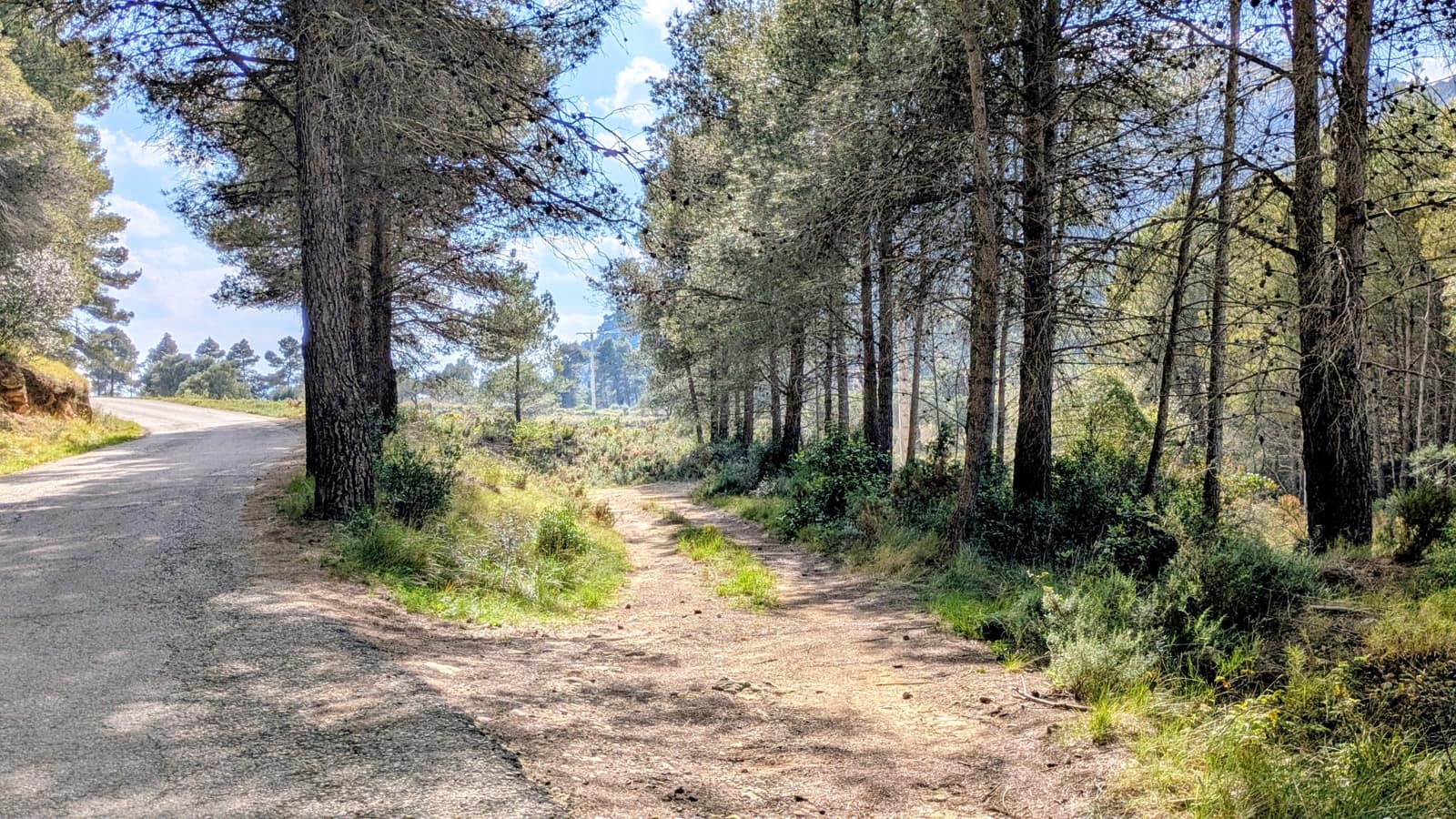 Finca/Landgut zu verkaufen in Gandesa - 25.000 € (Ref: 9726426)