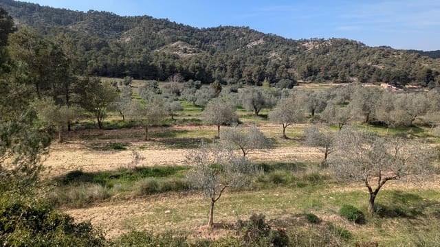 Finca/Landgut zu verkaufen in Gandesa - 25.000 € (Ref: 9726426)