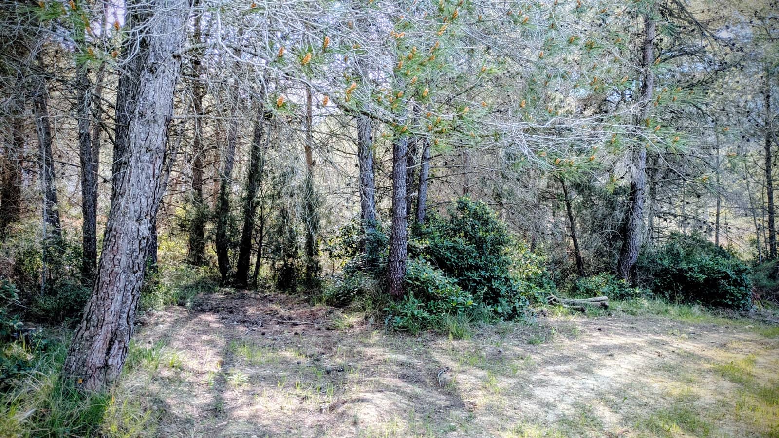 Finca/Landgut zu verkaufen in Gandesa - 25.000 € (Ref: 9726426)