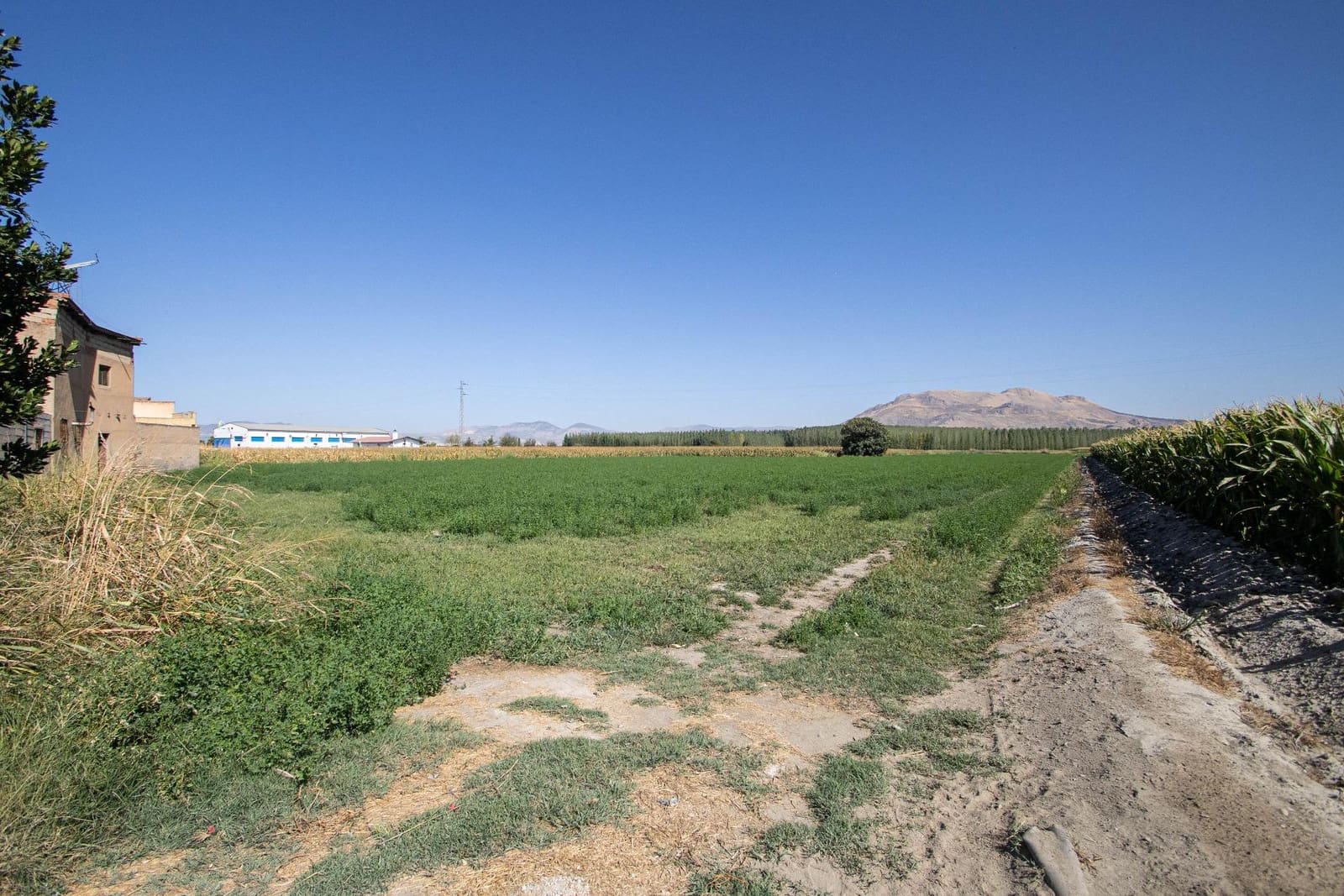 5 makuuhuone Rivitalo myytävänä paikassa Santa Fe mukana 
autotalli - 164 900 € (Ref: 9401095)