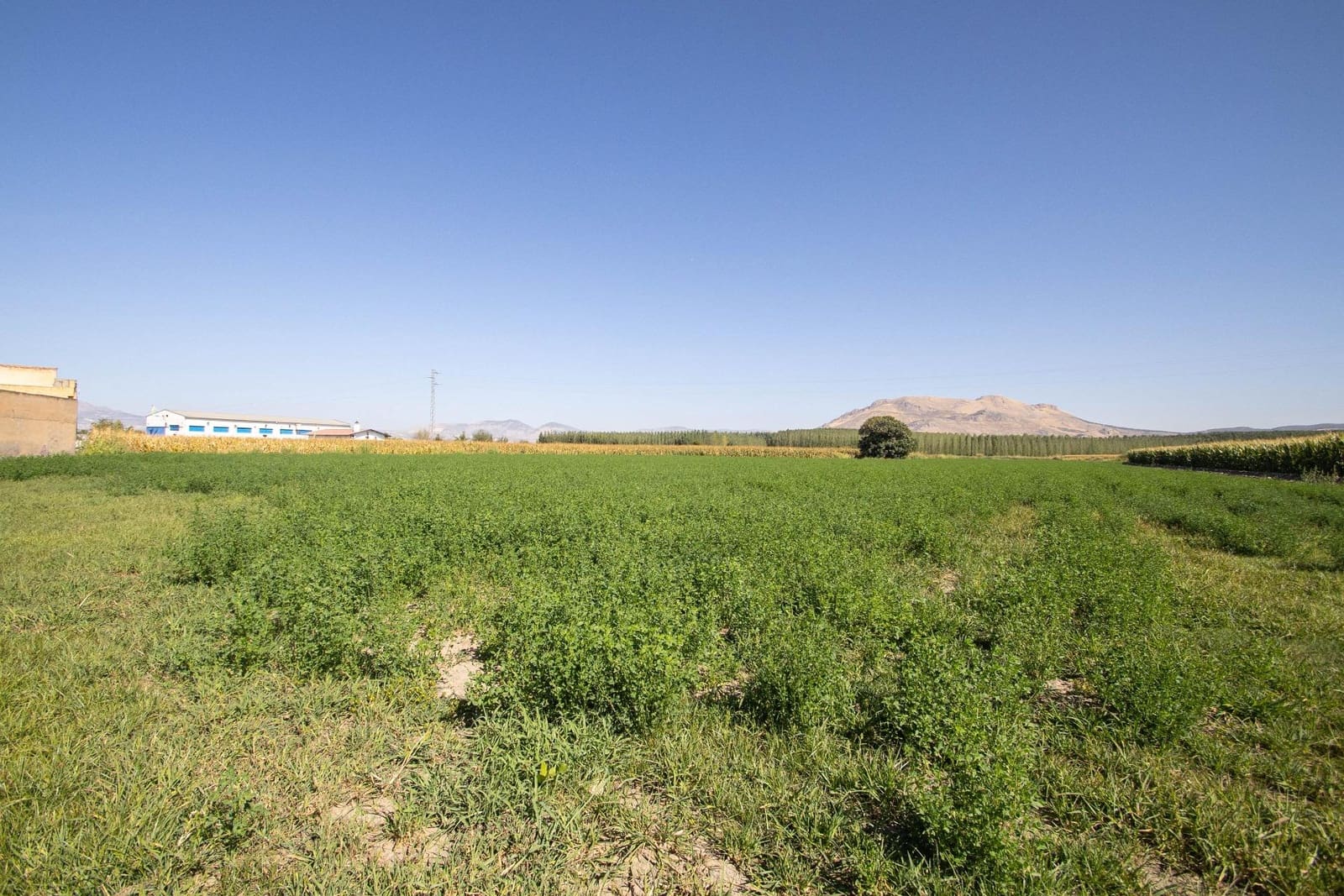 5 makuuhuone Rivitalo myytävänä paikassa Santa Fe mukana 
autotalli - 164 900 € (Ref: 9401095)