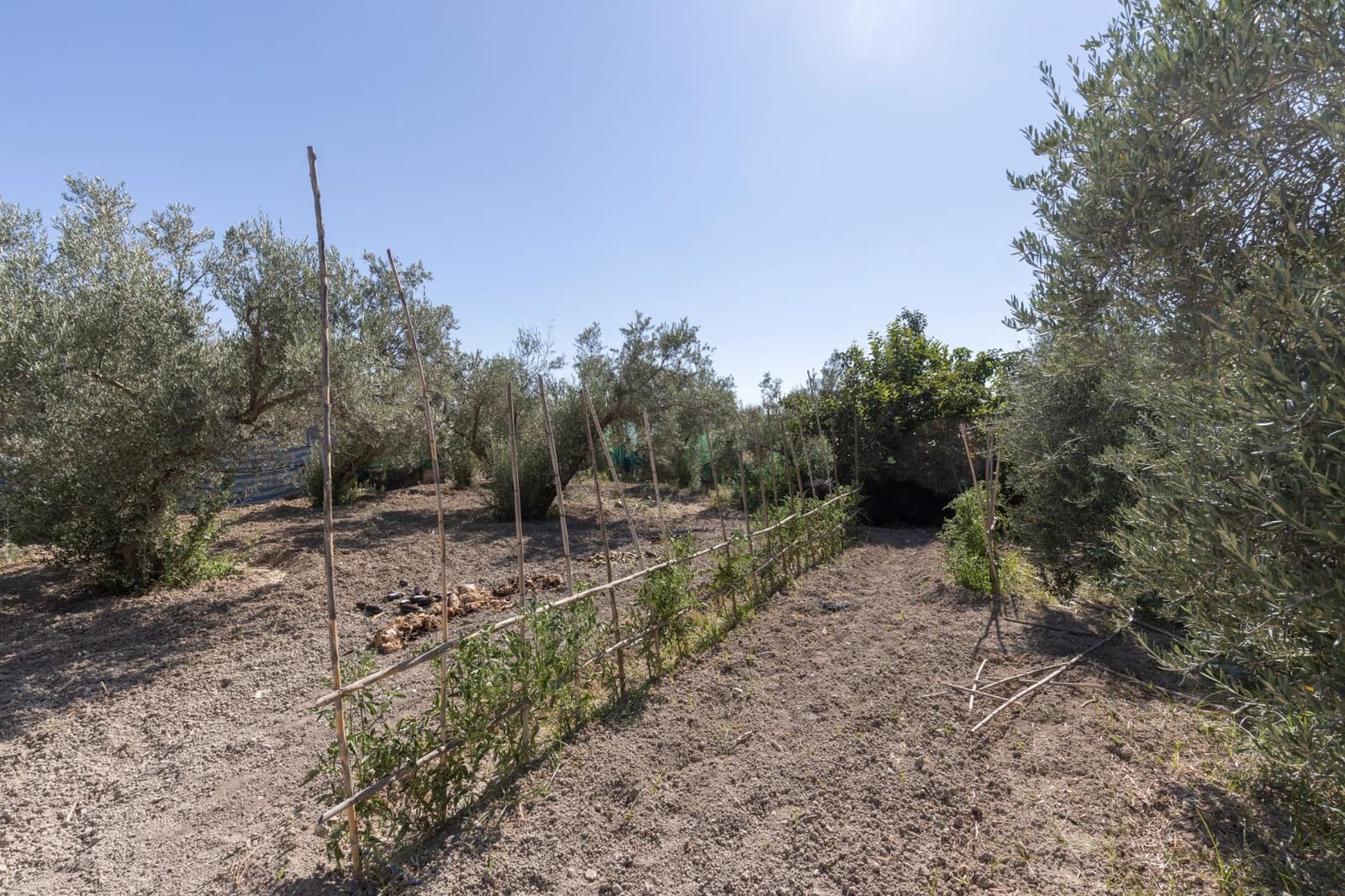 3 soverom Finca/Herregård til salgs i Santa Fe med svømmebasseng garasje - € 199 900 (Ref: 9451007)