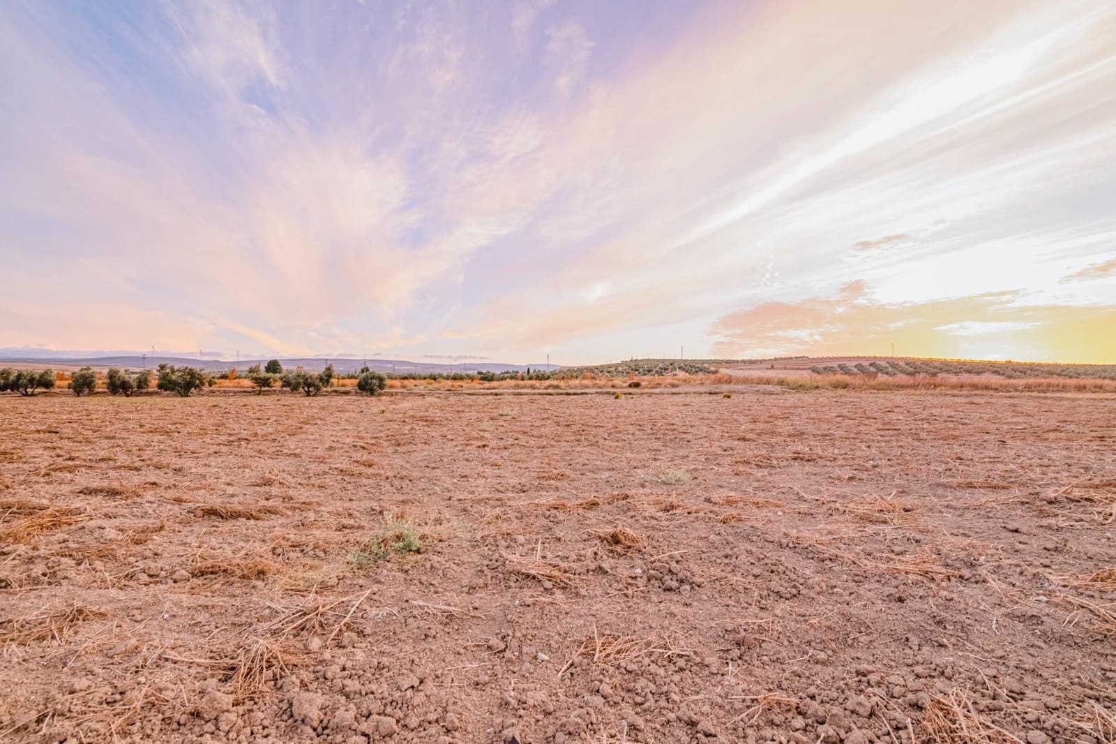 Undeveloped Land for sale in La Malaha - € 85,000 (Ref: 9452158)