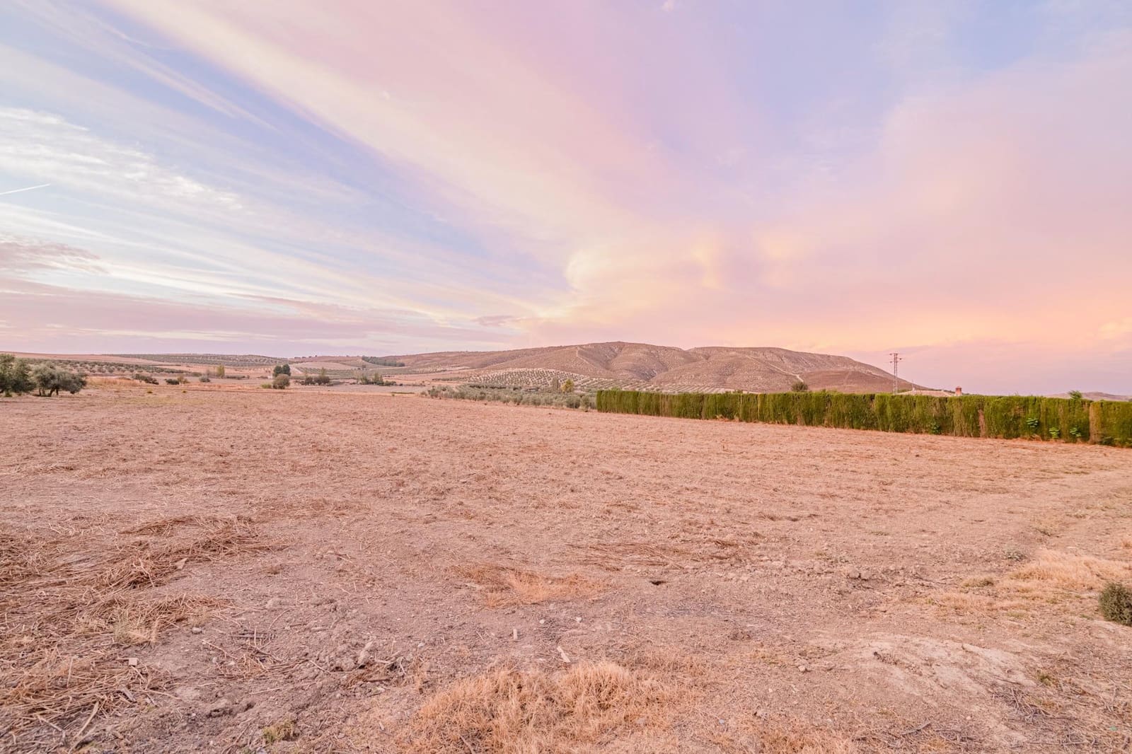 Undeveloped Land for sale in La Malaha - € 85,000 (Ref: 9452158)