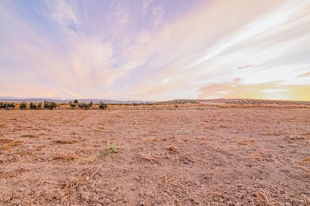 Undeveloped Land for sale in La Malahá - € 85,000 (Ref: 9452158)