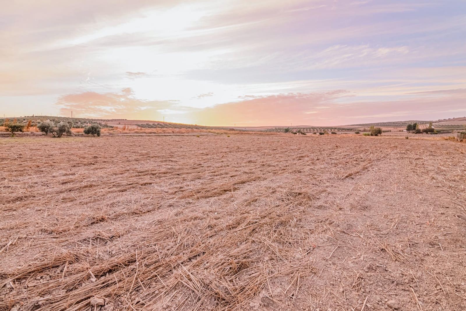 Undeveloped Land for sale in La Malaha - € 85,000 (Ref: 9452158)