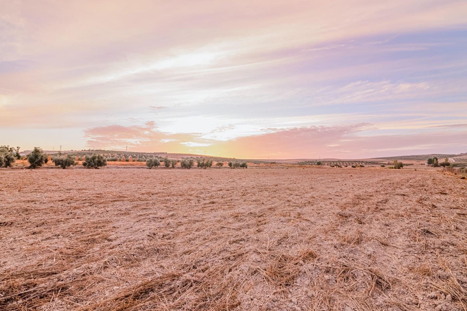 Undeveloped Land for sale in La Malaha - € 85,000 (Ref: 9452158)