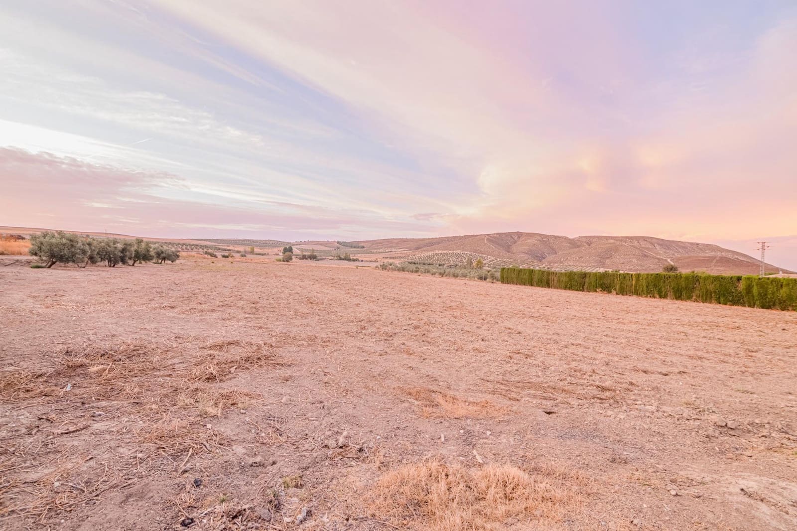 Undeveloped Land for sale in La Malaha - € 85,000 (Ref: 9452158)