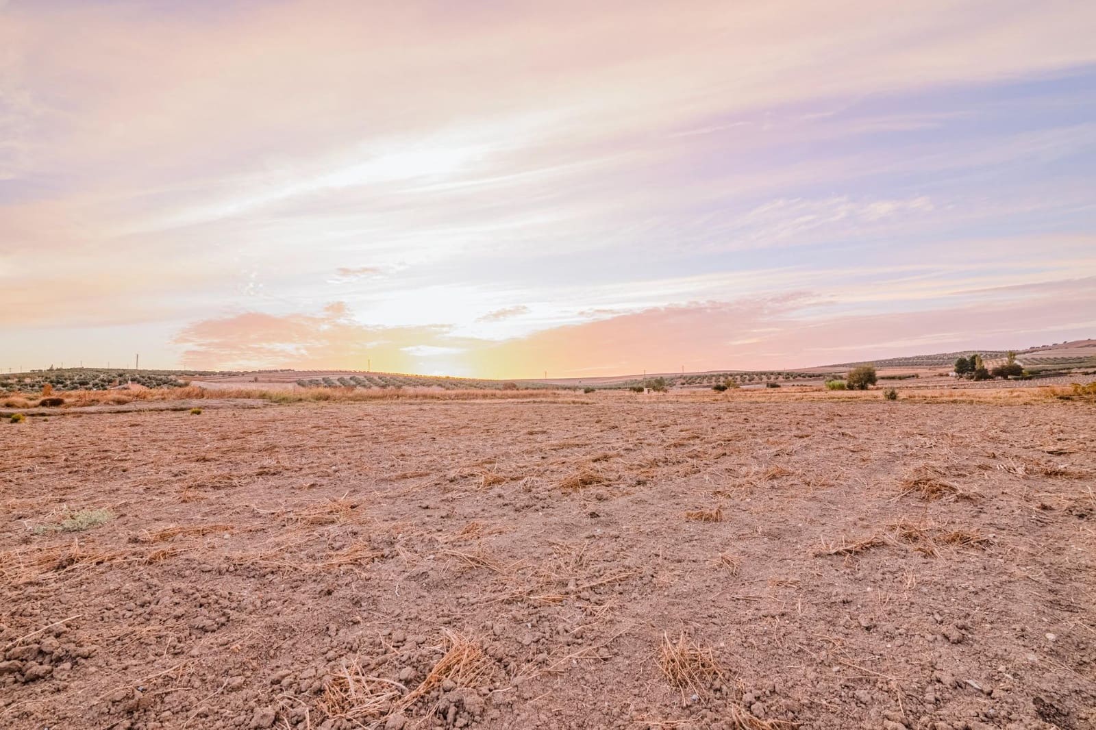 Undeveloped Land for sale in La Malaha - € 85,000 (Ref: 9452158)