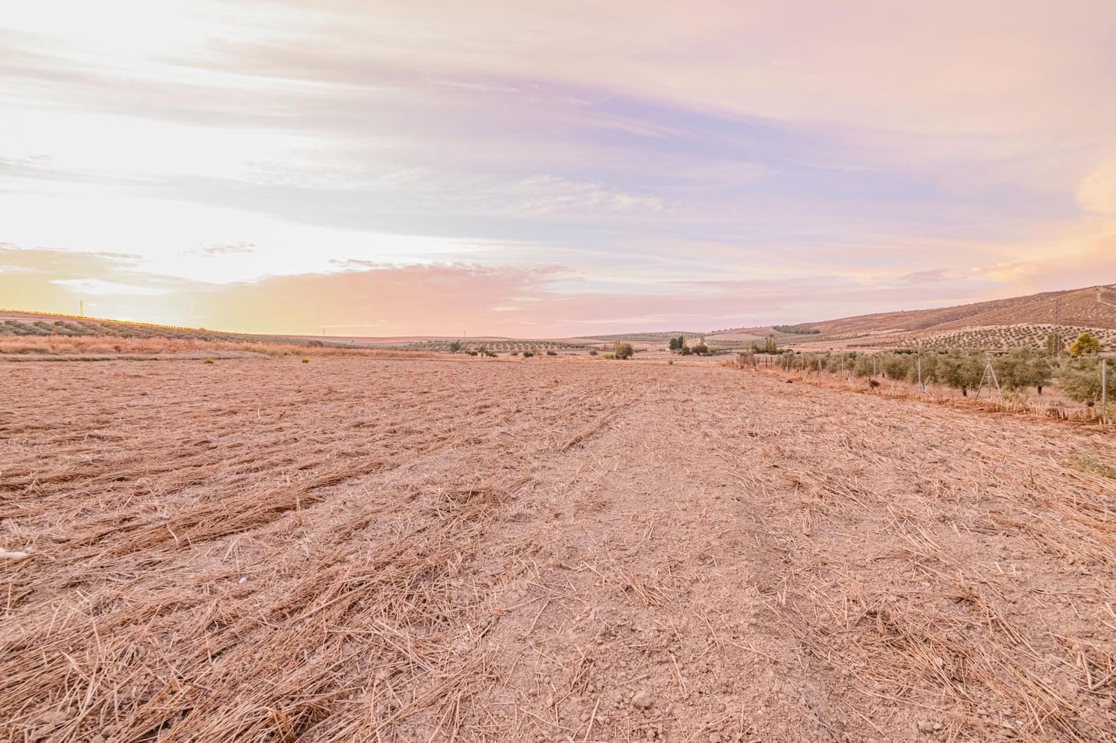 Undeveloped Land for sale in La Malaha - € 85,000 (Ref: 9452158)