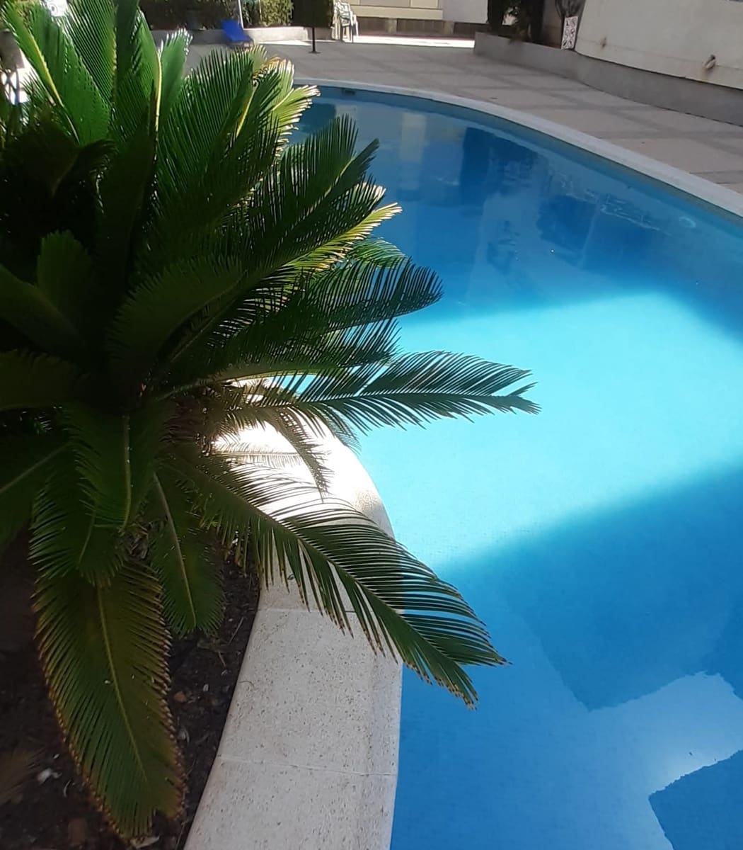 Ático de 3 habitaciones en Torrevieja en alquiler con piscina - 800 € (Ref: 9995280)