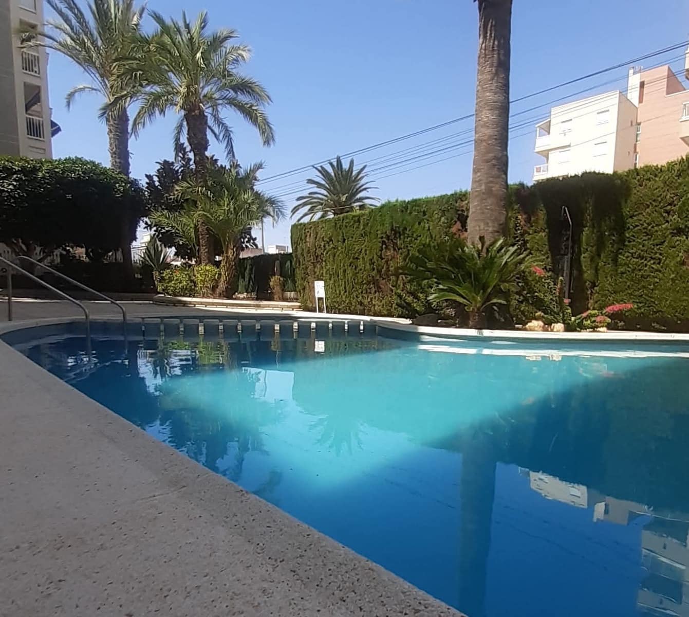 Ático de 3 habitaciones en Torrevieja en alquiler con piscina - 800 € (Ref: 9995280)