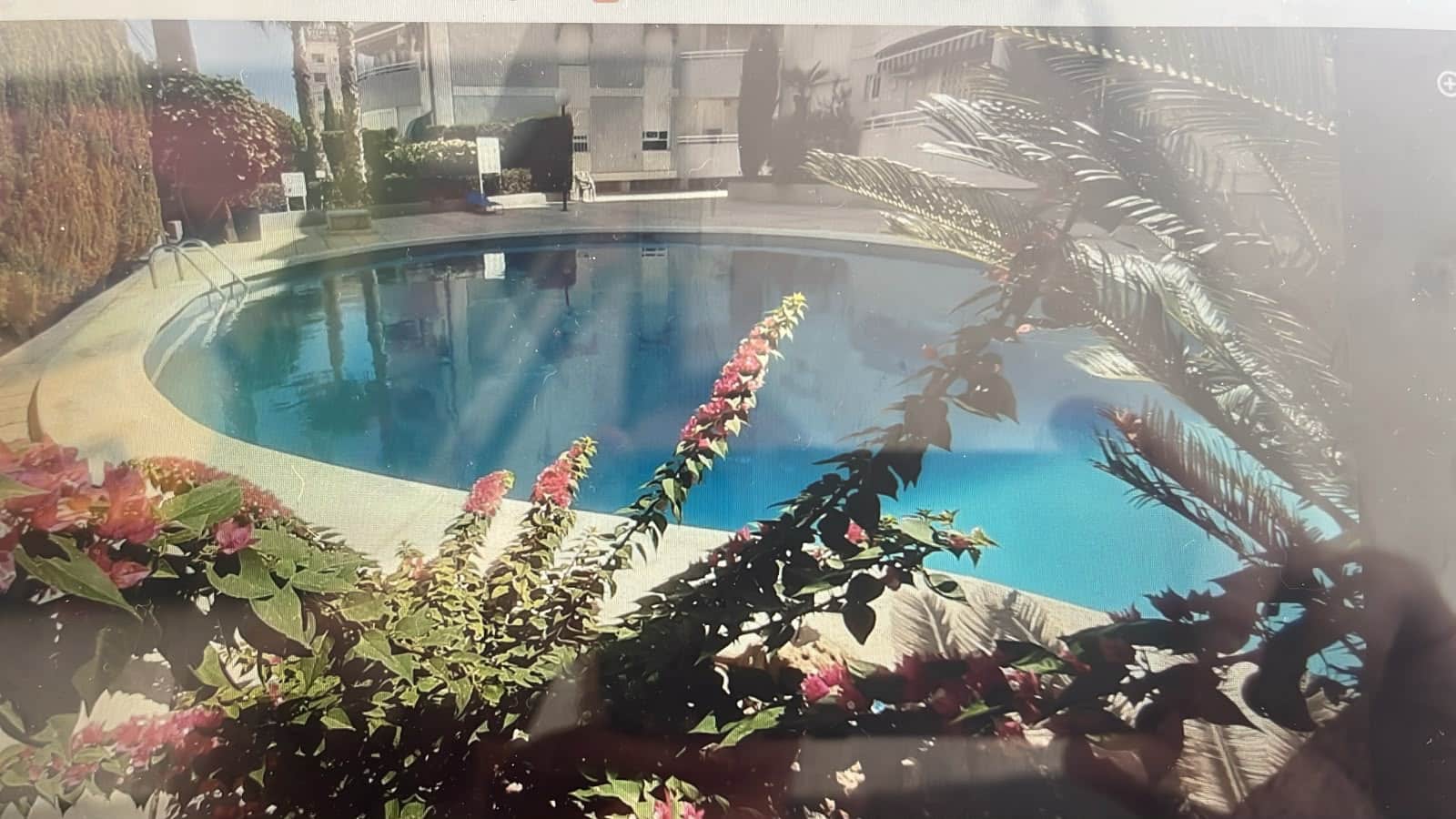 Ático de 3 habitaciones en Torrevieja en alquiler con piscina - 800 € (Ref: 9995280)