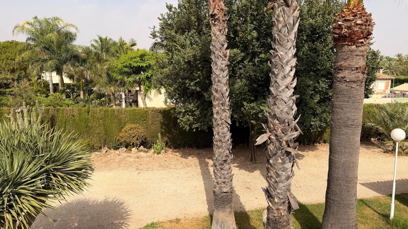 5 sypialnia Willa na sprzedaż w Elche / Elx z basenem garażem - 645 000 € (Ref: 10181750)