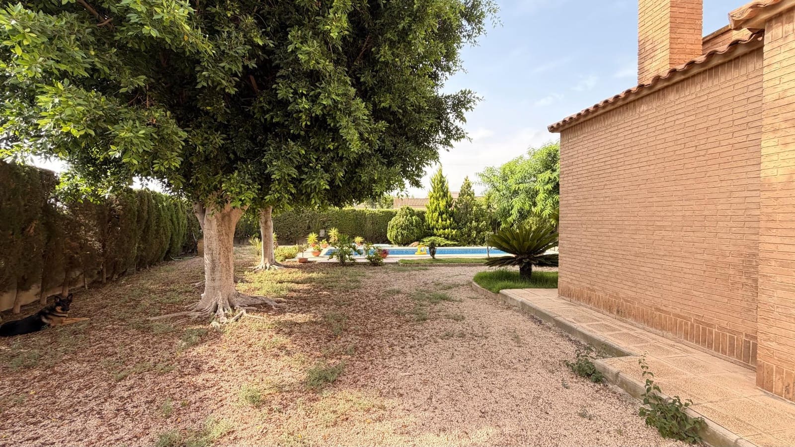 5 sypialnia Willa na sprzedaż w Elche / Elx z basenem garażem - 645 000 € (Ref: 10181750)