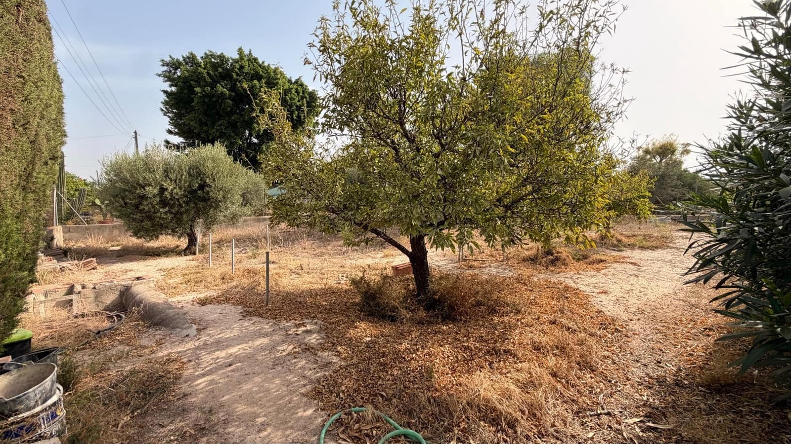 5 sypialnia Willa na sprzedaż w Elche / Elx z basenem garażem - 645 000 € (Ref: 10181750)
