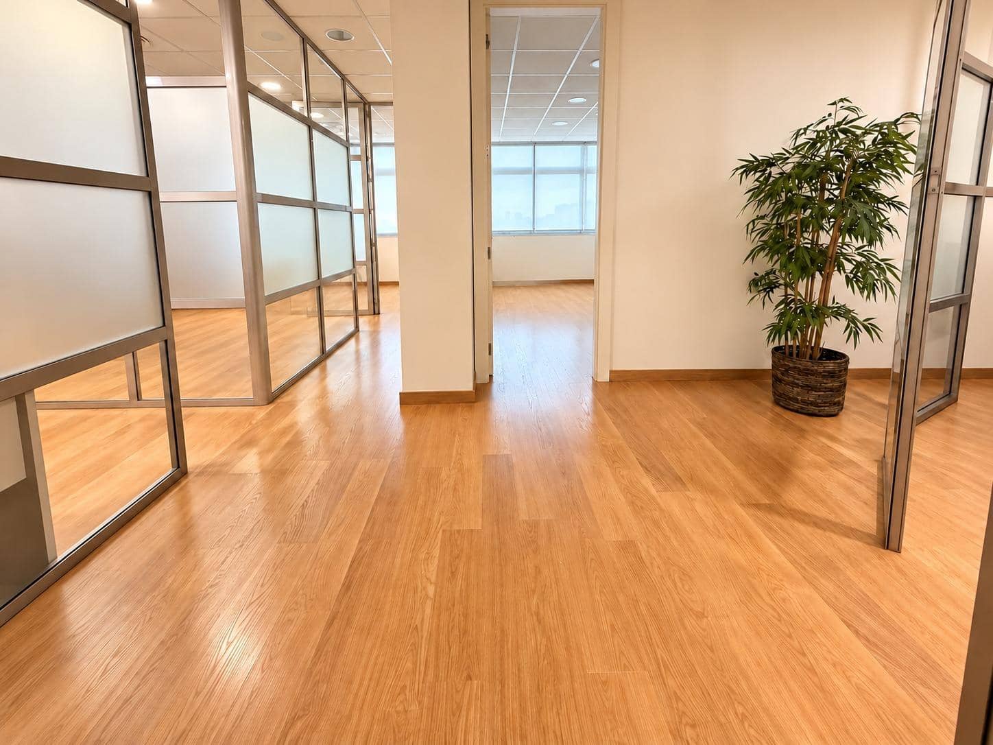 Commercial for sale in Elche / Elx - € 300,000 (Ref: 10181758)