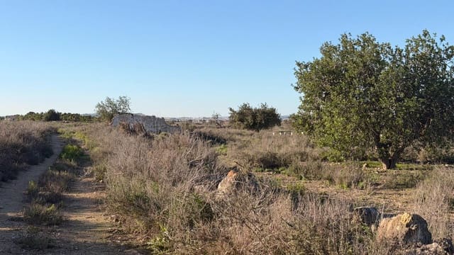 Byggetomt til salgs i La Marina, Elche / Elx - € 149 000 (Ref: 10181788)