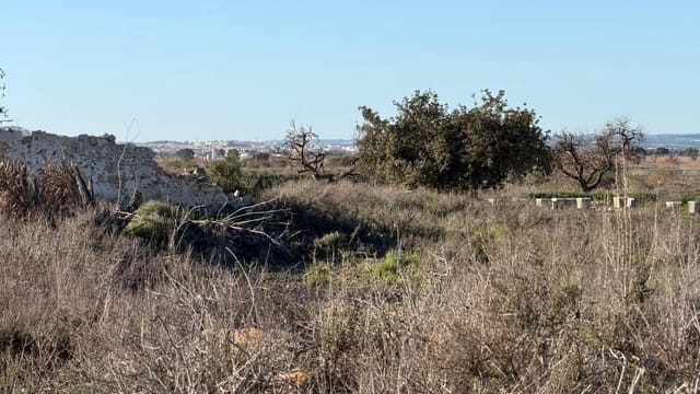Byggetomt til salgs i La Marina, Elche / Elx - € 149 000 (Ref: 10181788)