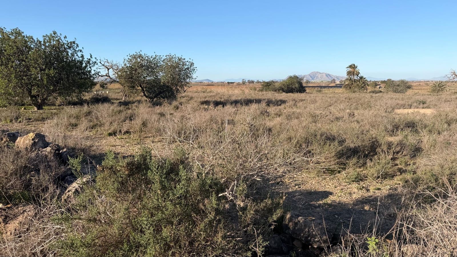 Byggetomt til salgs i La Marina - € 149 000 (Ref: 10181788)