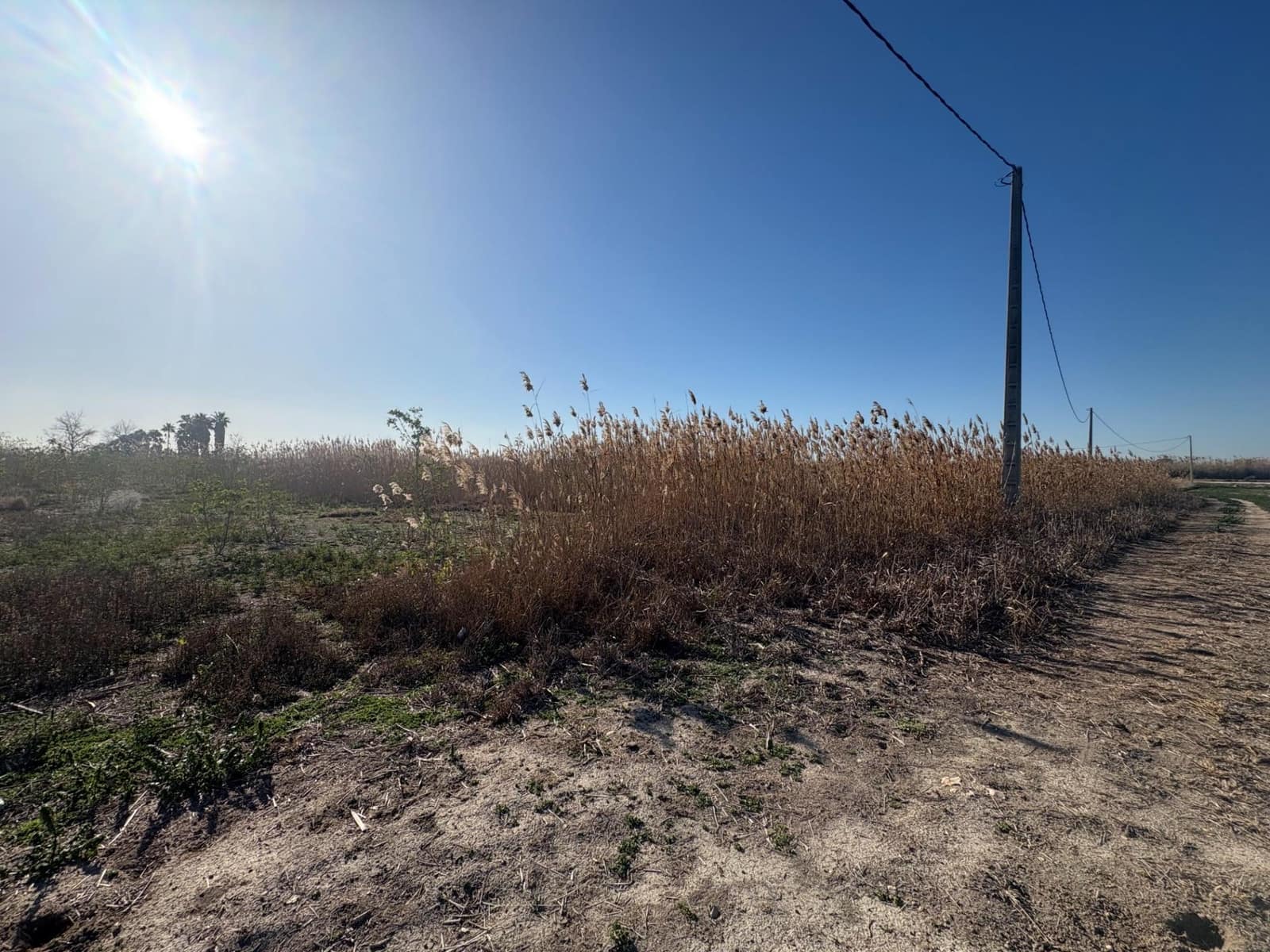 Terreno/Finca Rústica en Elche / Elx en venta - 36.000 € (Ref: 10181790)
