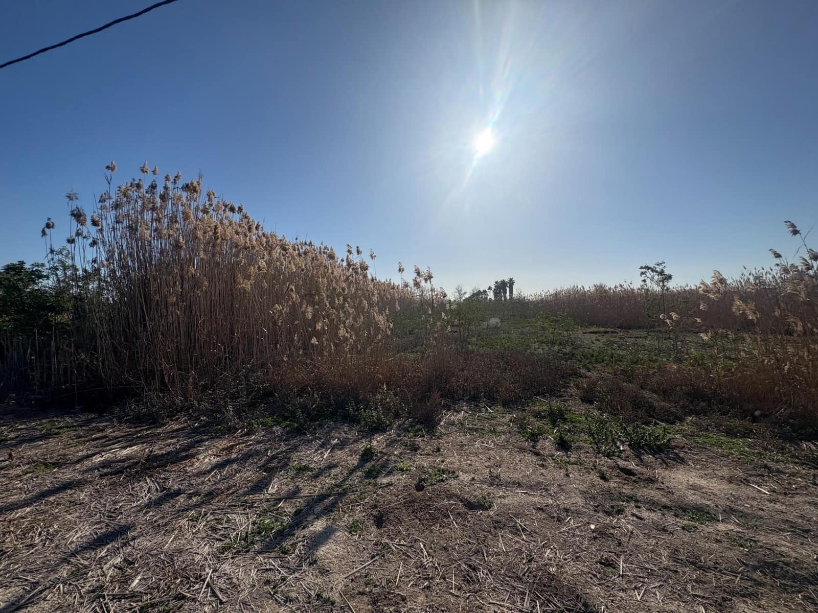 Terreno/Finca Rústica en Elche / Elx en venta - 36.000 € (Ref: 10181790)