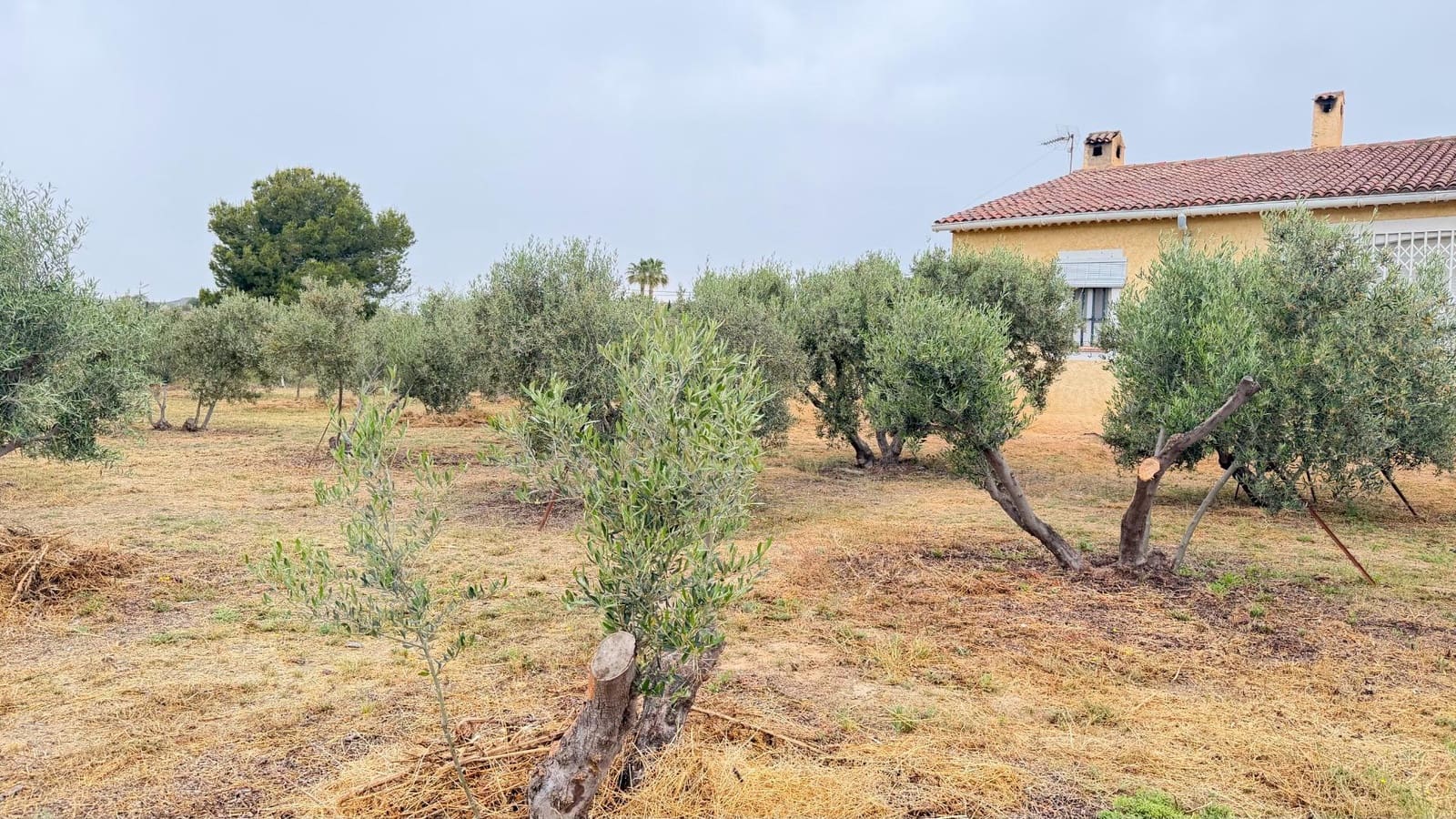 2 slaapkamer Villa te koop in Elche / Elx met garage - € 249.000 (Ref: 10181793)