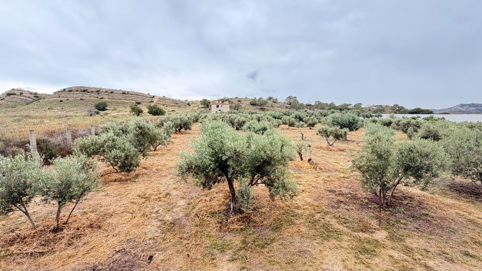 2 slaapkamer Villa te koop in Elche / Elx met garage - € 249.000 (Ref: 10181793)